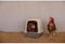 Nestkast voor kippen - KERBL - 52 x 39 x 39 cm