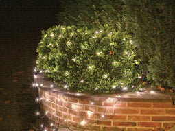 Netlight Led 2x2m 144l Warmwit Steadyzwarte Draad - 36v - Ext. 2m