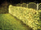 Netlight Led 2x2m 144l Warmwit Steadyzwarte Draad - 36v - Ext. 2m