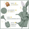 New Born Cadeauset - Jongens en Meisjes - Groen - Perfect als Geschenk