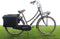 New Looxs Basic Canvasbag Camping - Dubbele Fietstas - Geschikt voor Elektrische Fietsen - Canvas Boodschappentas - 66 Liter - Zwart