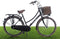 New Looxs Brisbane Medium Fietsmand Voordrager - 23 liter - Rotan - Bruin