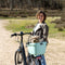 New Looxs Clipper Racktime 2.0 - Fietsmand achterop - Voor Racktime 2.0 bagagedrager – Groen
