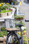 New Looxs Palermo Afneembare Fietsmand Bagagedrager Racktime - Aluminium - Houten bodem - Met zacht handvat - 24 Liter - Zwart