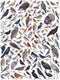 New York Puzzle Company - Cornell Lab Birds of Eastern/Centr. North American - 1000 stukjes puzzel
