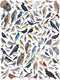 New York Puzzle Company - Cornell Lab Birds of Western America - 1000 stukjes puzzel