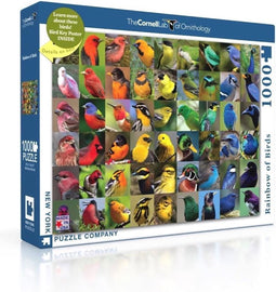 New York Puzzle Company - Cornell Lab Rainbow of Birds - 1000 stukjes puzzel