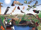 New York Puzzle Company - Cornell Lab Spring Trail - 1000 stukjes puzzel