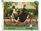 New York Puzzle Company - Janet Hill Miss Moon's Bike - 1000 stukjes puzzel