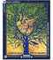 New York Puzzle Company - NASA Super Organism - 1000 stukjes puzzel
