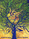 New York Puzzle Company - NASA Super Organism - 1000 stukjes puzzel