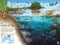 New York Puzzle Company - National Geographic Layers of Life - 1000 stukjes puzzel