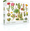 New York Puzzle Company - Vintage Images Cacti ~ Cactus - 1000 stukjes puzzel