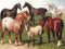 New York Puzzle Company - Vintage Images Horse Breeds - 1000 stukjes puzzel