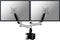 NewStar 10 - 24 Inch - Flatscreen Desk Mount (clamp)