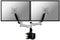 NewStar 10 - 24 Inch - Flatscreen Desk Mount (clamp)