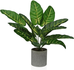 Decoratieve plant Versa 15 x 43 x 15 cm Papier Plastic