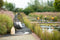 Garden Impressions - Schommelstoel Wellington
