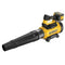 DeWALT DCMBL777X1-QW - Bladblazer - Krachtige accu technologie