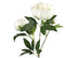 Paeonia kunststof 23x13x73 cm wit kunstbloem