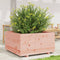 vidaXL - Plantenbak - 90x90x49,5 - cm - massief - douglashout