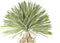 PTMD Kunstplant Yucca - 58x58x150 cm - Plastic - Groen