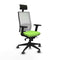 Bureaustoel Piqueras y Crespo 2D066G1 Pistache