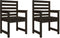 vidaXL - Tuinstoelen - 2 - st - 60x48x91 - cm - massief - grenenhout - zwart