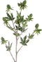 PTMD Thistle Plant Distel Kunsttak - 26 x 19 x 61 cm - Groen