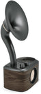 Sangean WR-45 - FM-radio - Bluetooth 5.0 - Zwart