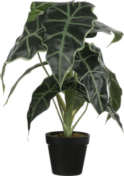 Mica Decorations Alocasia Kunstplant in Bloempot - H50 x Ø30 cm - Groen