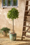Mica Decorations Laurierboom Kunstplant - H120 x Ø40 cm - Groen