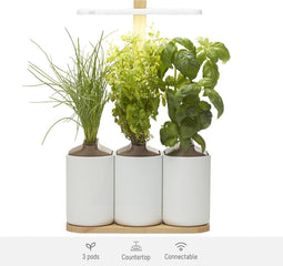 Prêt à Pousser Lilo Connect (incl. 3 pods)
