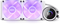 NZXT Kraken 240 - AIO Vloeistofkoeler 240mm - LCD-scherm RGB-ventilatoren - Wit