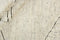 Landscape Fields Naturel 1031 Vloerkleed - 170x240 - Rechthoek - Laagpolig Tapijt - Modern - Beige, Wit