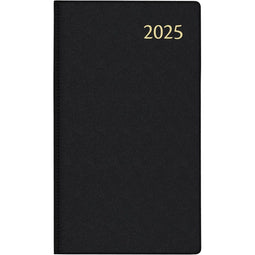 Aurora Timeplan 23M Seta, geassorteerde kleuren, 2025 10 stuks