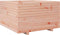 vidaXL - Plantenbak - 80x80x49,5 - cm - massief - douglashout