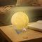 Niceey Maanlamp 3D – Maan Lamp 20 cm – Tafellamp slaapkamer - Maanlampje met 16 kleuren – Oplaadbaar Kinder Tafellamp – Met afstandsbediening