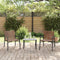 vidaXL - Tuinstoelen - 2 - stuks - Zwart - 79x56x73,5 - cm - Poly - Rattan