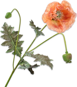 Silk-ka Kunstbloem-Zijden Bloem Klaproos Steel Oranje-Beauty 98 cm