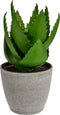 Decoratieve plant Aloë Vera Plastic (14 x 23 x 14 cm)
