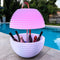 Nikki Amsterdam | The.Bowl | Multicolor LED verlichting | Bluetooth Speaker | Bowl | Wijnkoeler | Champagnekoeler | Ijskoeler | Ice Bucket | Ijsemmer | Tuin Verlichting | Feest Verlichting | Met gratis App bedienbaar | 60cm doorsnee |
