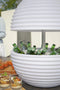 Nikki Amsterdam | The.Bowl | Multicolor LED verlichting | Bluetooth Speaker | Bowl | Wijnkoeler | Champagnekoeler | Ijskoeler | Ice Bucket | Ijsemmer | Tuin Verlichting | Feest Verlichting | Met gratis App bedienbaar | 60cm doorsnee |