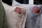 Nikki Amsterdam | The.Pillow | Taupe | Bruin | Duurzaam | Draadloos | 60 x 45 x 18cm | Infrarood | Warmtekussen | In en Outdoor | Loungekussen | incl 16.000 mAh Powerbank | Gebruiksduur: tot 14 uur