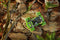 Nikko RC Rock Crusher Groen
