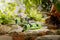 Nikko RC Rock Crusher Groen