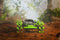 Nikko RC Rock Crusher Groen
