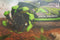 Nikko RC Rock Crusher Groen