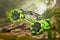 Nikko RC Rock Crusher Groen