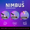 NIMBUS Wonderspons (24x) - Melamine Spons - Extra Dik
